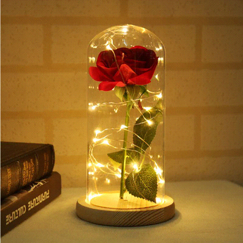 The Enchanted Rose – SHOPLICHT